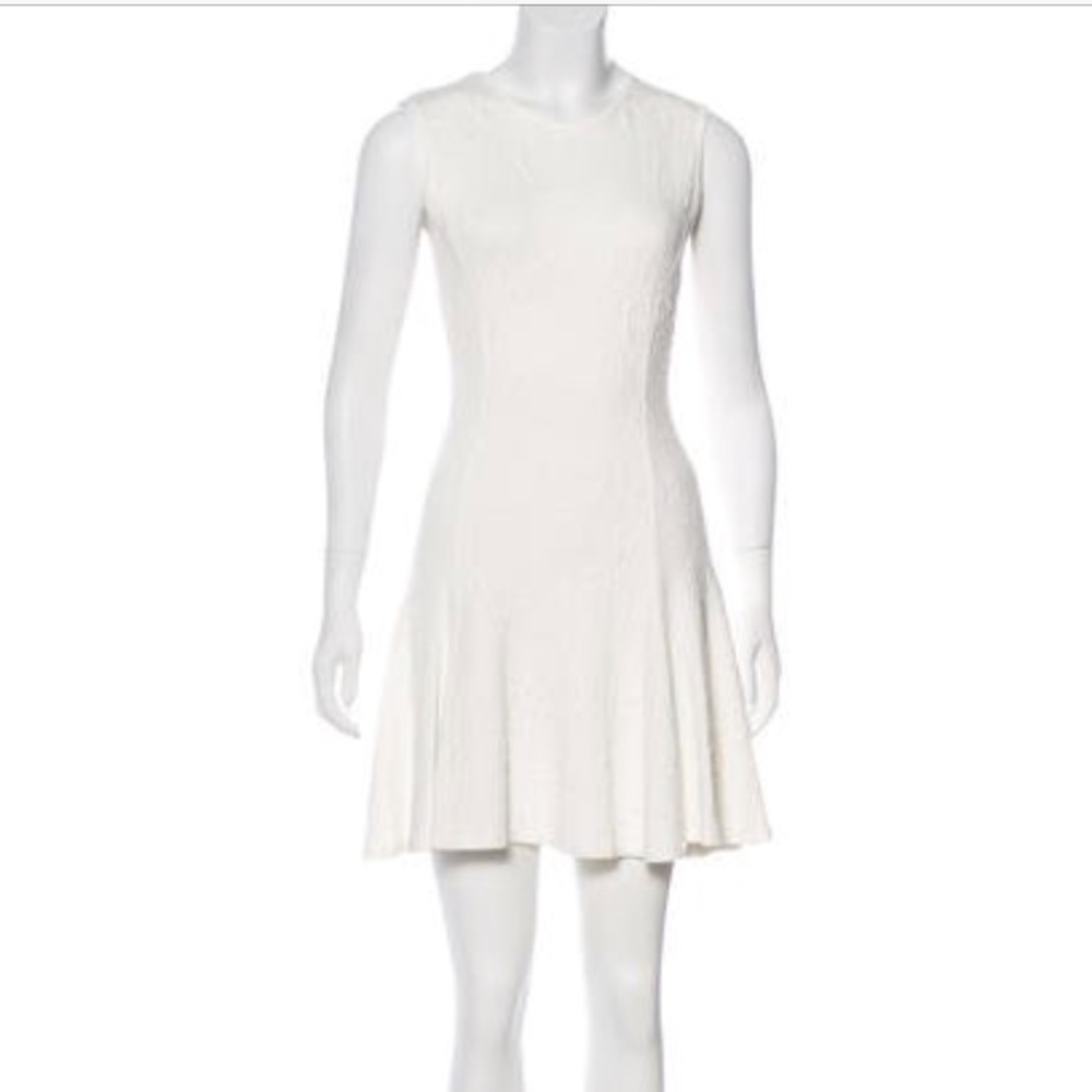 Torn by Ronny Kobo Sleeve A-Line Dress